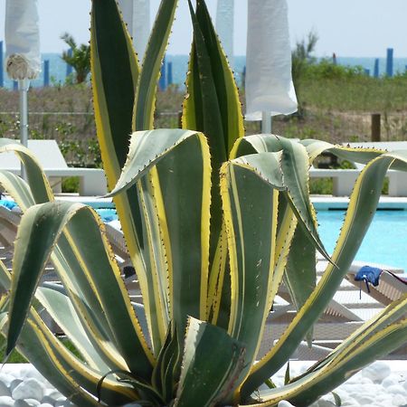 Hotel Mediterraneo Suite&Residence Lido di Jesolo Bagian luar foto